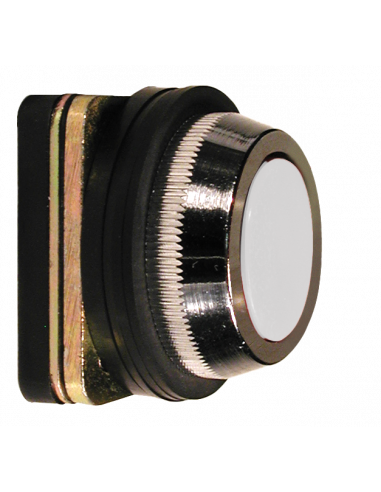 AF1 Flush Non-Illuminated Momentary