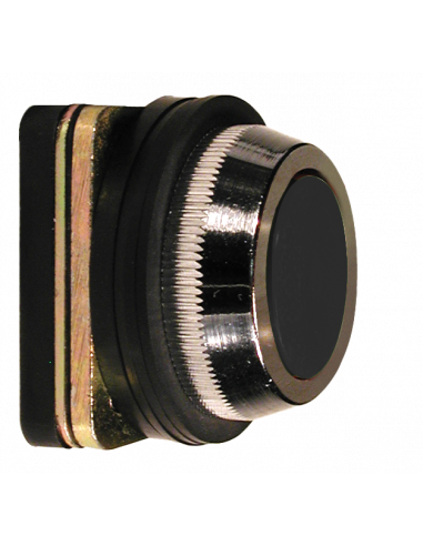 AF2 Flush Non-Illuminated Momentary