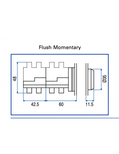 AF3 Flush Non-Illuminated Momentary