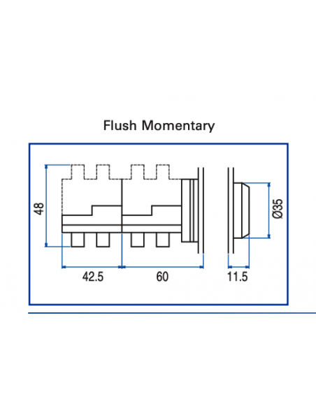AF4 Flush Non-Illuminated Momentary