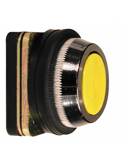 AF8 Flush Non-Illuminated Momentary