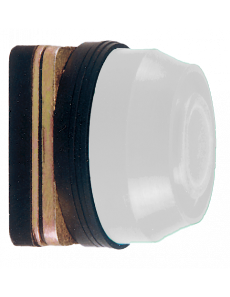 AB1 Flush Non-Illuminated Momentary