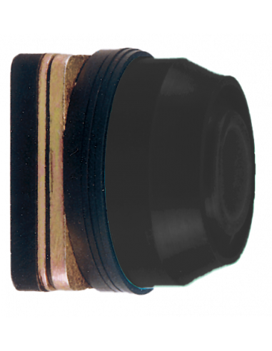 AB2 Flush Non-Illuminated Momentary