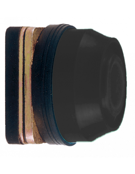 AB2 Flush Non-Illuminated Momentary