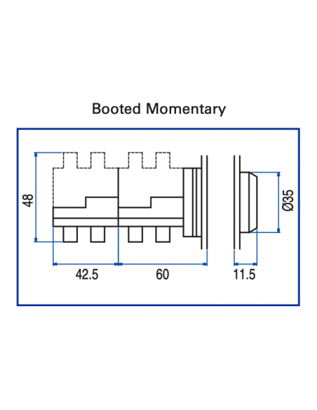 AB6 Flush Non-Illuminated Momentary