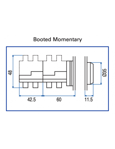 AB8 Flush Non-Illuminated Momentary