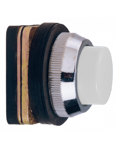 AP1 Flush Non-Illuminated Momentary