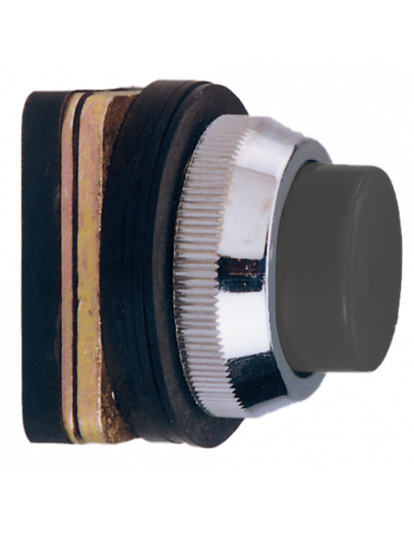 AP2 Flush Non-Illuminated Momentary