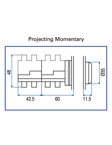 AP6 Flush Non-Illuminated Momentary