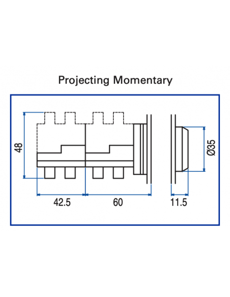 AP6 Flush Non-Illuminated Momentary