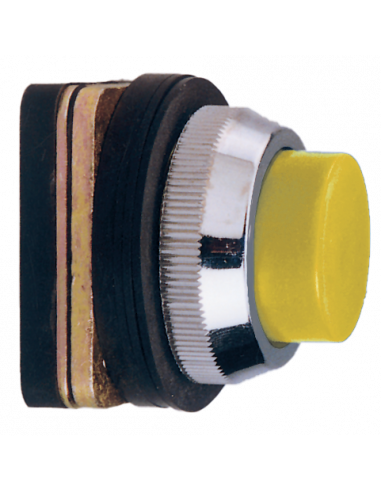 AP8 Flush Non-Illuminated Momentary