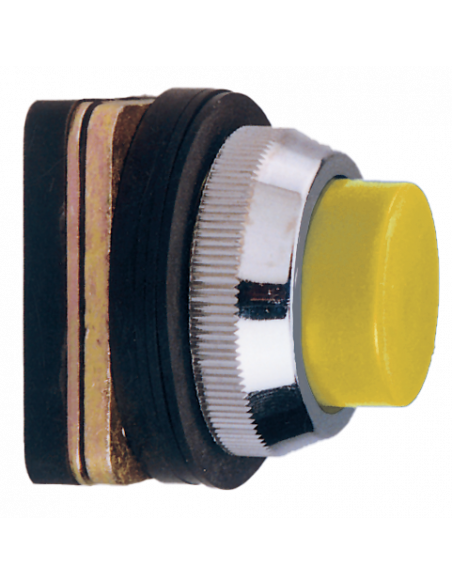 AP8 Flush Non-Illuminated Momentary