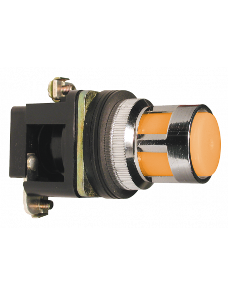 ALF5-048 Flush Illuminated Momentary