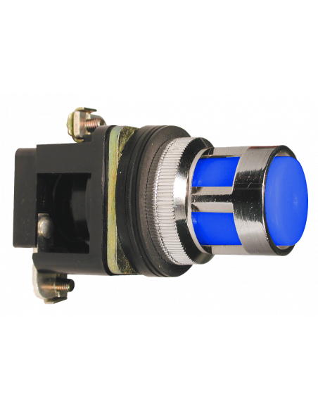 ALF6-110 Flush Illuminated Momentary