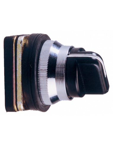 AS2-2P Selector Maintained & Momentary