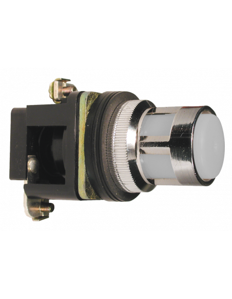 ALF7LB-024 Flush Illuminated Momentary