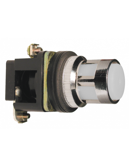 ALF1LB-048 Flush Illuminated Momentary