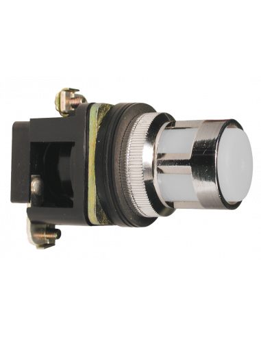 ALF1LB-110 Flush Illuminated Momentary