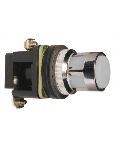 ALF7LB-110 Flush Illuminated Momentary