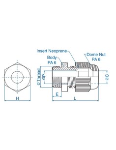 Standard Straight-Through 2
