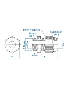 Standard Straight-Through 2