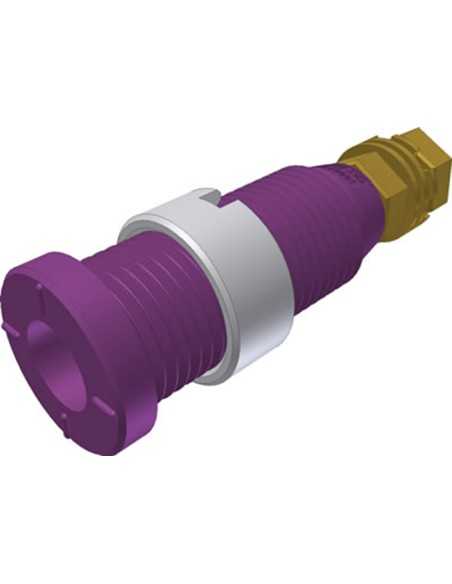 Test Socket MSEB 2600 Au PURPLE