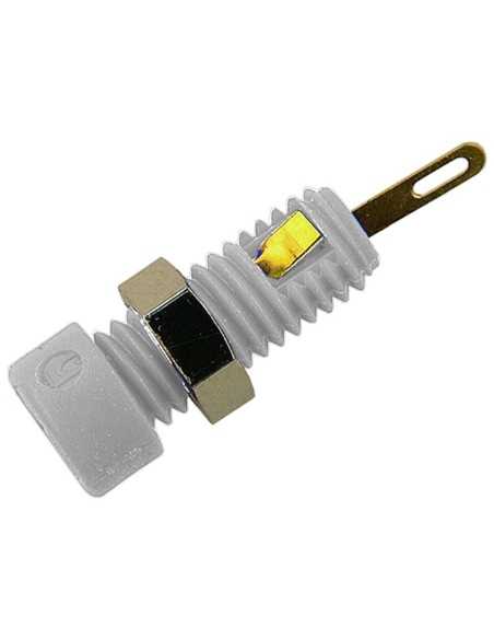 Test Socket MBI 1 Au WHITE